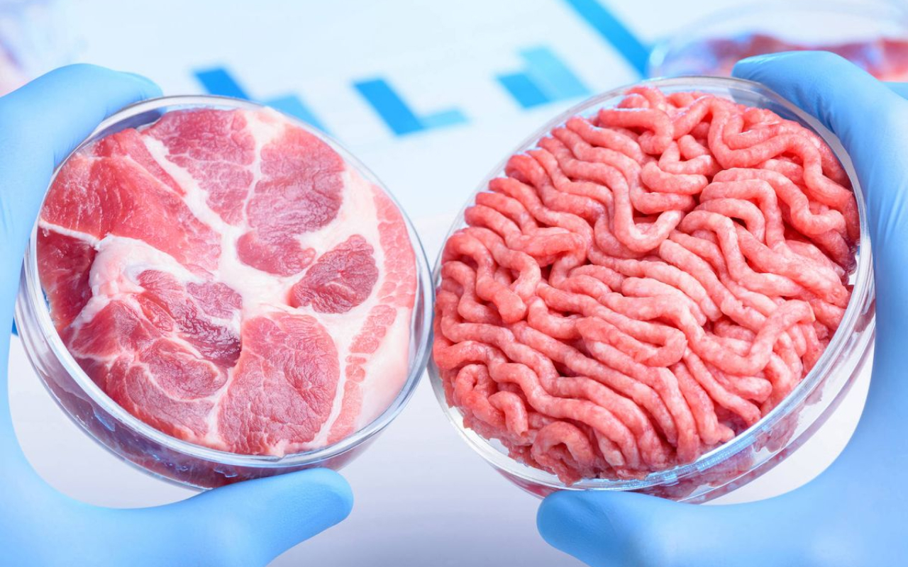 Carne cultivo celular